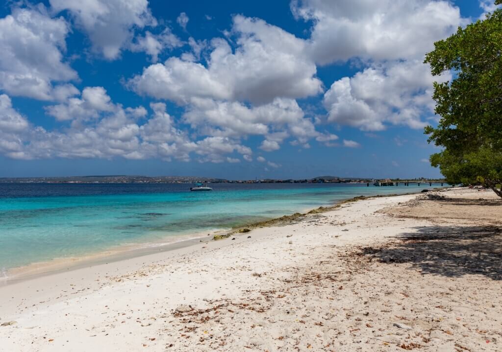 W Meksyku władze znajdują ciała 8 osób w popularnym kurorcie Cancun!