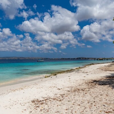 W Meksyku władze znajdują ciała 8 osób w popularnym kurorcie Cancun!